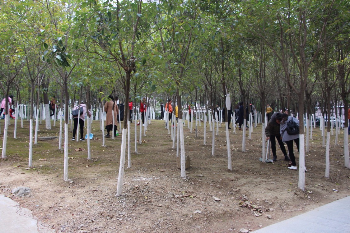 2017112220132567.jpg 2017112220132567.jpg